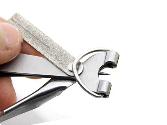 Unha de Nó Rápido Fishing Co.