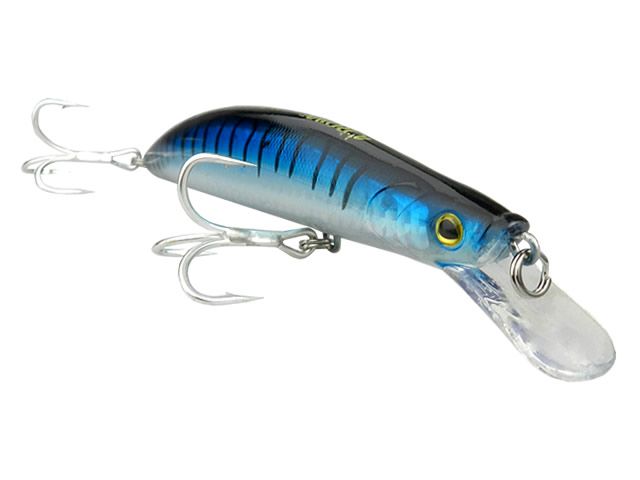 Isca Crown M Tiger 120