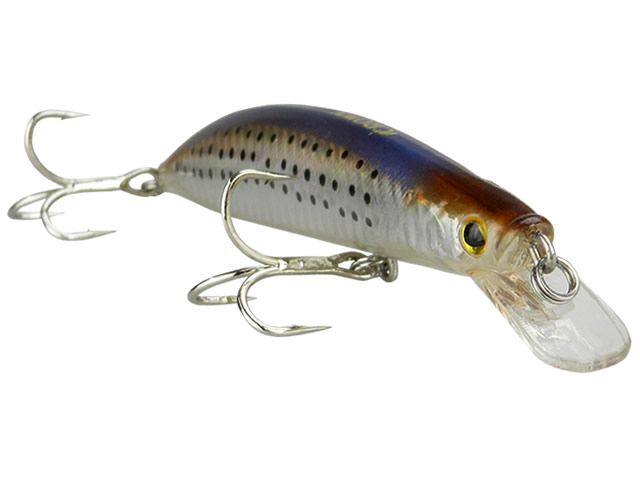 Isca Crown M Tiger 120