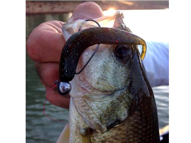 Isca Soft TNT Shad Shape 4 Pol. - 11cm