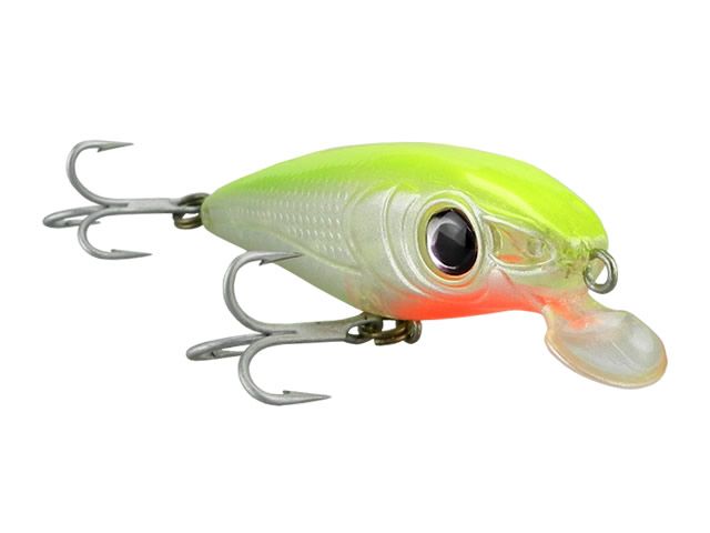 Isca Moro MS70 Stick