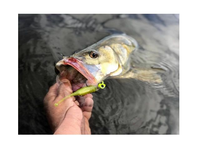 Isca Soft Big Ones Round Tail 115