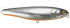 Imagem Silver Orange Belly
