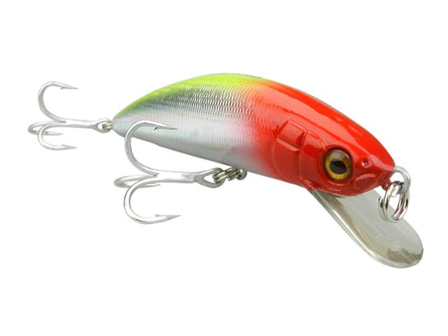 Isca Maruri Nebraska 125F