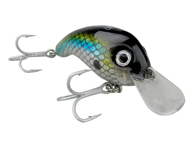 Isca Borboleta Gorducha - Holográfica