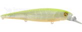 Imagem Chartback Clear Orange Belly