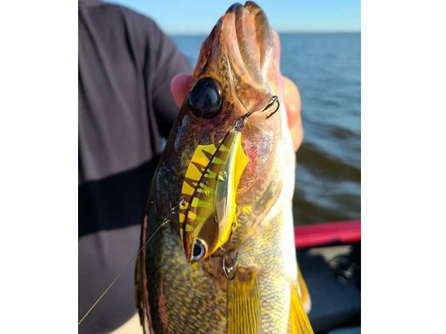 Isca Rapala Rap-V Blade RVB06