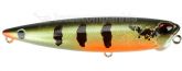 Imagem ADA3327 Peacock Bass HD