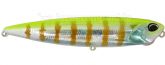 Imagem ADA3066 Funky Gill DM