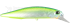 Imagem ADA3238 Citrus Shiner