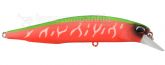 Imagem ACC3338 Dragon Fruit Tiger