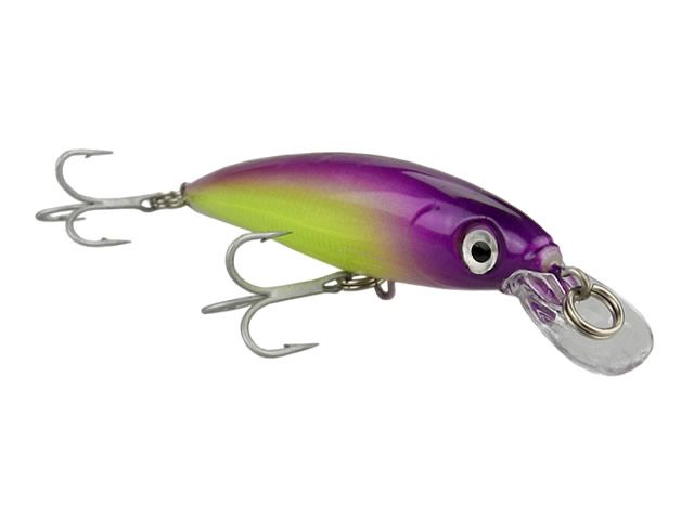 Isca Rapala Saltwater XRap SXR08