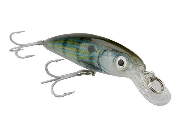 Isca Rapala Saltwater XRap SXR08