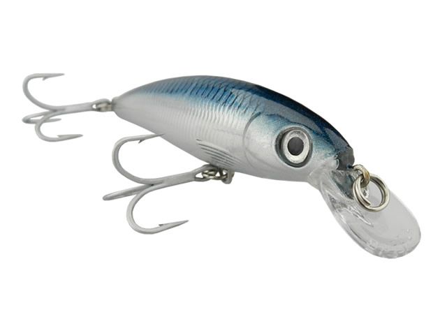 Isca Rapala Saltwater XRap SXR10