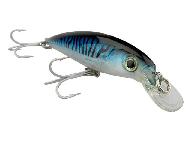 Isca Rapala Saltwater XRap SXR10
