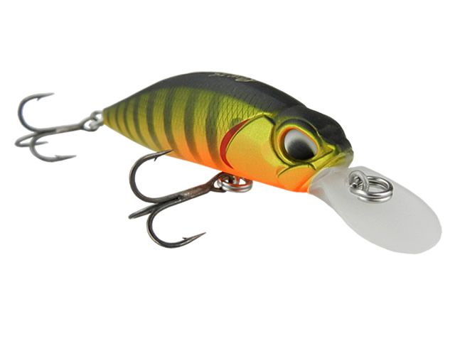 Isca Duo Realis Rozante 63SP