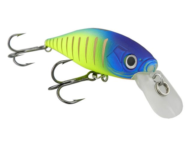 Isca Albatroz Matrix Suspend SP65