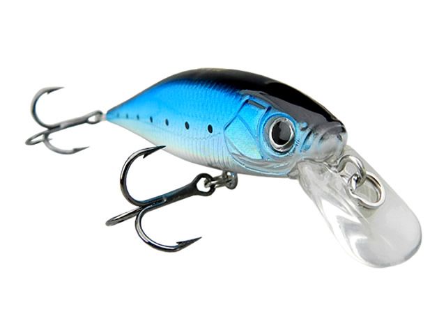 Isca Albatroz Matrix Suspend SP65