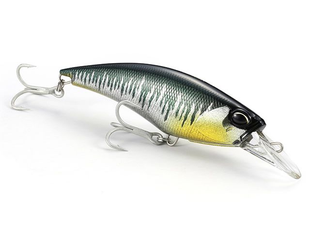 Isca Duo Realis Fangshad 140SR