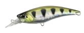 Imagem LAA3365 Archer Fish II