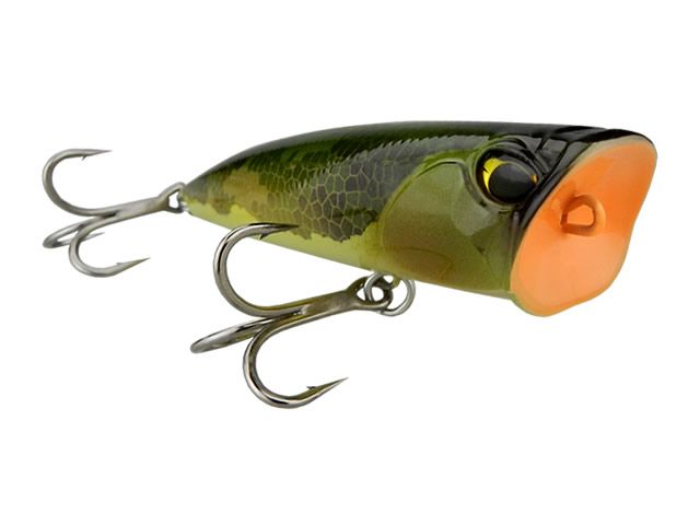 Isca Duo Realis Fangpop 120