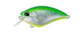 Imagem ADA3238 Citrus Shiner