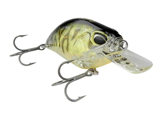 Isca Duo Realis kabuki Crank 55SR