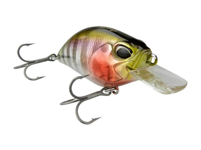 Isca Duo Realis kabuki Crank 55SR