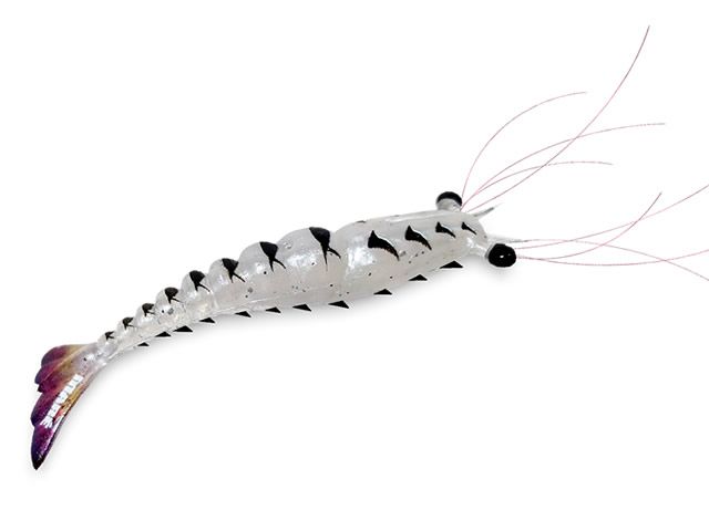 Camarão Mare Tiger Shrimp M - 9cm