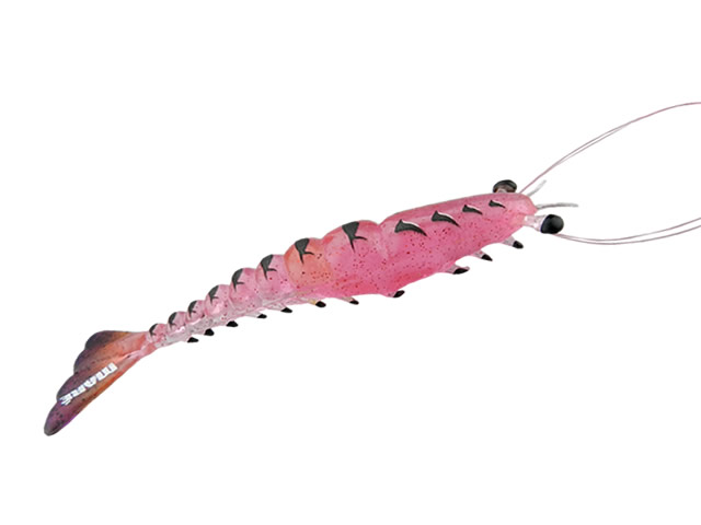 Camarão Mare Tiger Shrimp M - 9cm