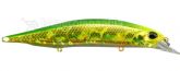 Imagem ADA3185 - Itako Green Gold