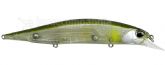 Imagem DEA3371 - Gill Flash L.F.