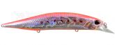 Imagem ADA0119 - Pink Sardine