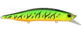 Imagem ACC3059  Mat Tiger
