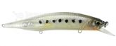 Imagem CEA0493 Whitebait