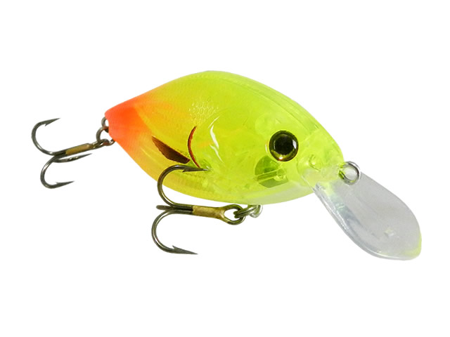 Isca Deconto Jujuba 50