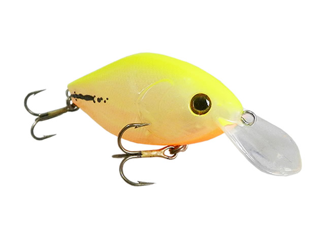 Isca Deconto Jujuba 50