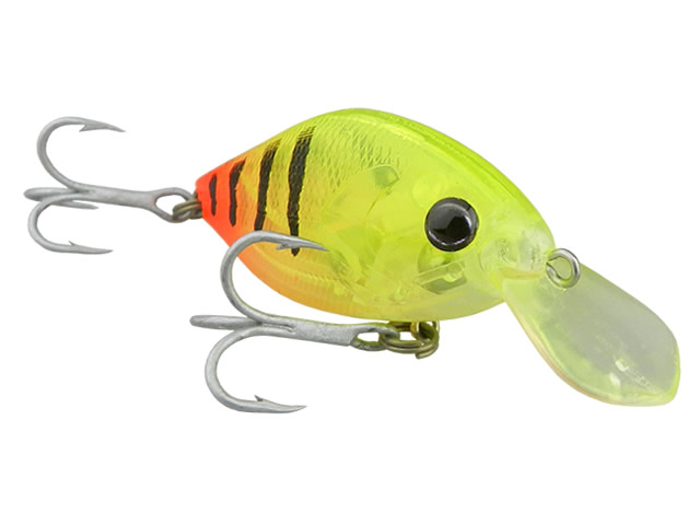 Isca Deconto Jujuba 50