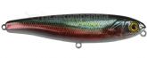 Imagem RT Neon Tetra