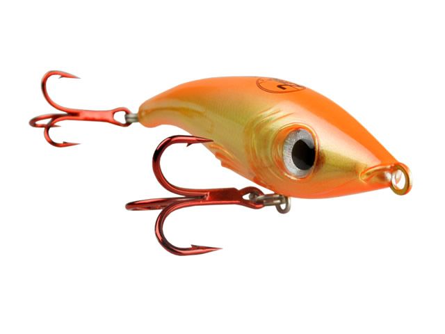 Isca Zagaia Prima Gold Floating Ft 105