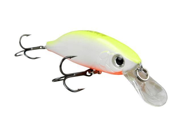 Isca Albatroz GT Minnow 80F