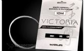 Imagem 0,30MM 11,7LB