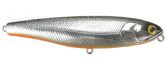 Imagem Silver Orange Belly