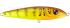Imagem Cor (Yellow Fever) YF