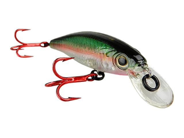 Isca Marine Sports Savage 85