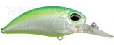 Imagem CCC3180 Citrus Shad