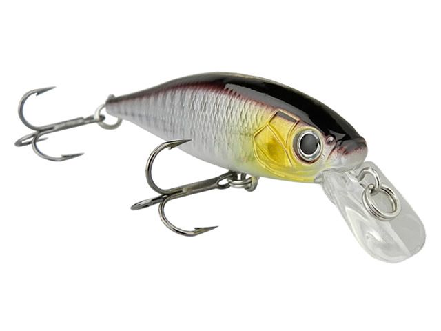 Isca Albatroz Matrix Suspend SP90